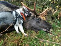 post-2669-0-30656000-1445901041_thumb.jp