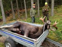 post-6360-0-06759900-1444718795_thumb.jp