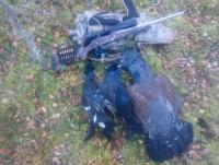 post-9376-0-68694500-1444156516_thumb.jp