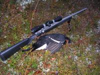 post-1877-1259182762_thumb.jpg
