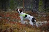 post-1338-0-00842200-1321891048_thumb.jp