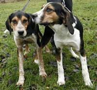 post-1408-0-81060300-1322041573_thumb.jp