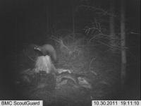 post-3207-0-12022000-1320158151_thumb.jp