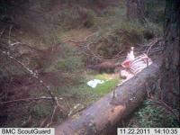 post-3207-0-13862000-1322486700_thumb.jp