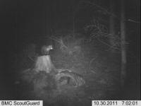 post-3207-0-61096300-1320158190_thumb.jp