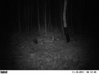 post-9755-0-07070900-1321996729_thumb.jp