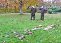 post-10445-0-70602500-1352927966_thumb.j