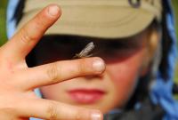 post-2892-0-07574100-1353925845_thumb.jp