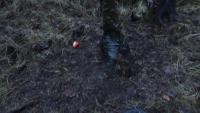 post-10838-0-93418100-1384529457_thumb.j
