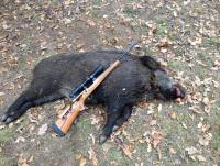 post-5037-0-75287600-1415558633_thumb.jp