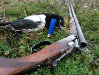 post-5037-0-98105900-1415560615_thumb.jp