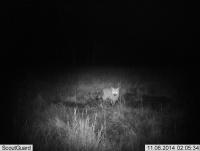 post-5306-0-72165300-1415810280_thumb.jp