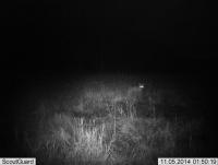 post-5306-0-84809800-1415810376_thumb.jp