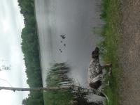 post-17032-0-93536300-1447746996_thumb.j