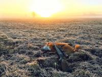 post-17250-0-82275000-1447540619_thumb.j