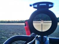 post-17250-14475065227349_thumb.jpg