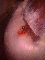 post-2564-1229955644_thumb.jpg