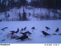 post-1551-0-85379600-1292517456_thumb.jp