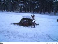 post-6150-0-92269300-1292690728_thumb.jp