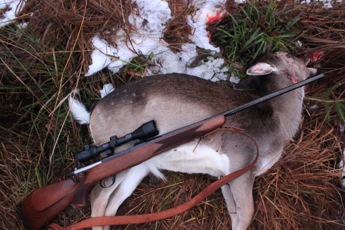 Tillvaratagning av päls (postar jag rätt?)