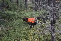 post-10596-0-50241500-1323808538_thumb.j