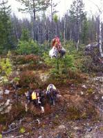 post-10596-0-87294700-1323808510_thumb.j