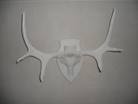 post-1935-0-32917200-1322763855_thumb.jp