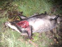 post-2933-0-58503200-1324489712_thumb.jp