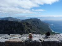 post-3031-0-97523600-1322935176_thumb.jp