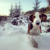 post-12169-0-09893600-1355160774_thumb.j