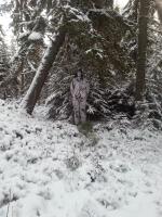 post-12169-0-63146700-1355160740_thumb.j