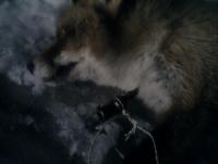 post-3046-0-67507200-1356648124_thumb.jp