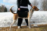 post-5973-0-63026500-1355833784_thumb.jp