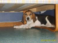 post-5973-0-63252200-1355834141_thumb.jp