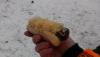post-269-13865293437132_thumb.jpg