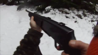 post-348-0-12014900-1386698585_thumb.png