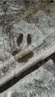 post-15630-0-91223700-1419328192_thumb.j