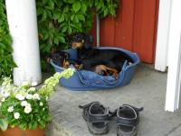 post-10445-0-09912400-1450910772_thumb.j