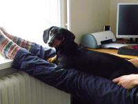 post-10445-0-14253800-1450910840_thumb.j