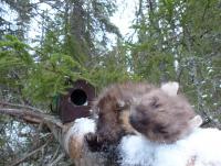 post-12305-0-50216000-1450645397_thumb.j