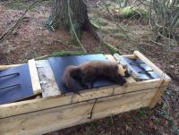 post-17217-0-48266400-1450725241_thumb.j