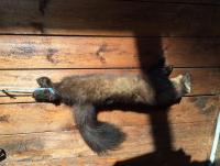 post-17217-0-51640500-1450725281_thumb.j