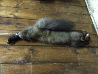 post-17217-0-56403100-1450725225_thumb.j