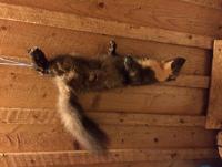 post-17217-0-85536200-1450725254_thumb.j