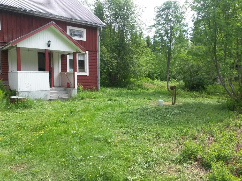 20150621_125658.jpg
