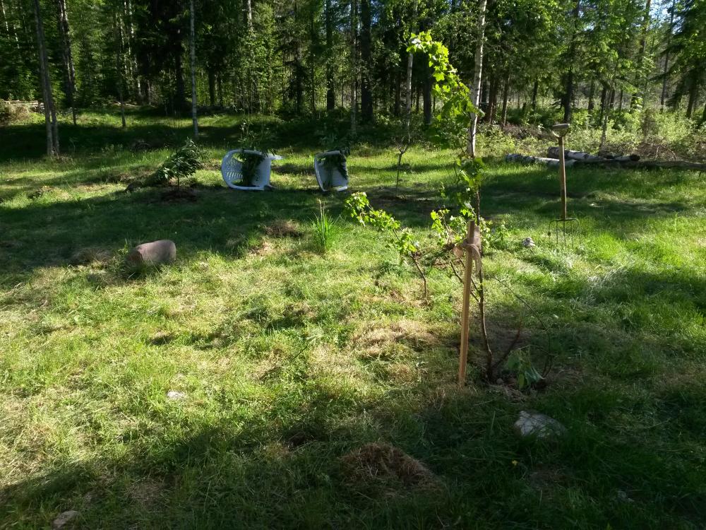 20160604_172551.jpg