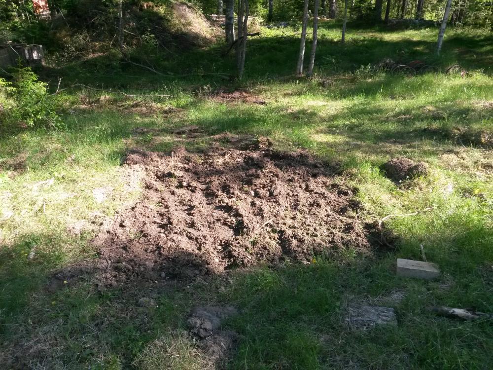 20160604_172635.jpg