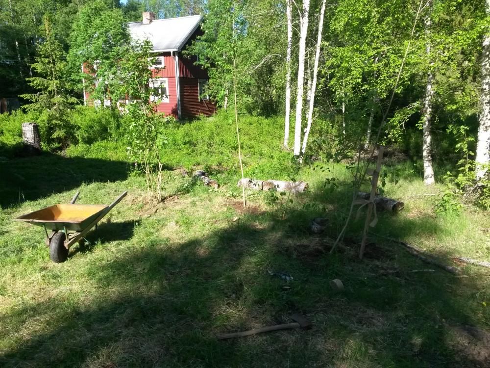 20160604_172700.jpg