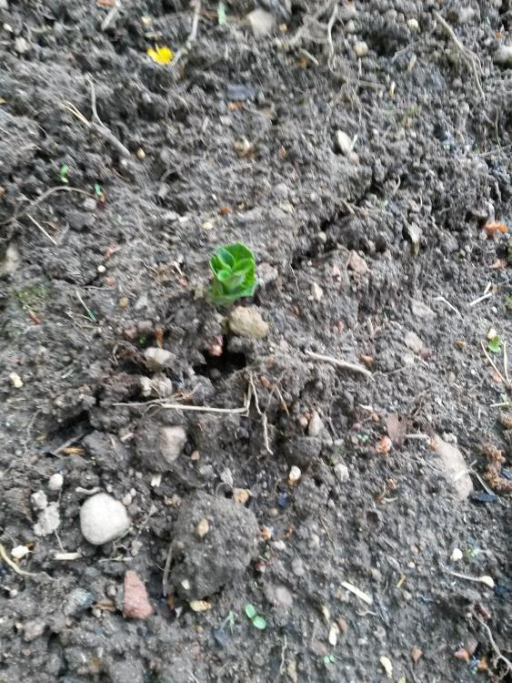 20160607_202336.jpg