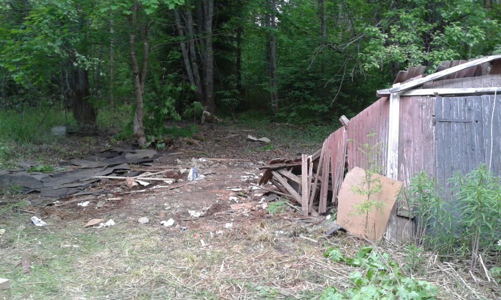 20160612_173612.jpg